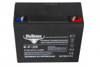 Тяговый гелевый аккумулятор RuTrike 6-F-20 (12V22A/H C20) в Казани