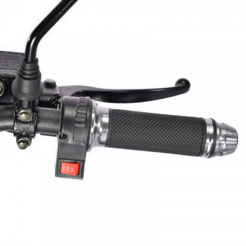 Электроскутер White Siberia TRIKE MINI 1500W в Казани