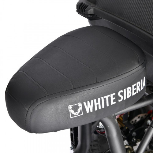 Электроскутер White Siberia TRIKE MINI 1500W в Казани