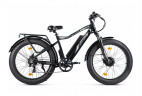 Электрофэтбайк Volteco BigCat Dual Next в Казани