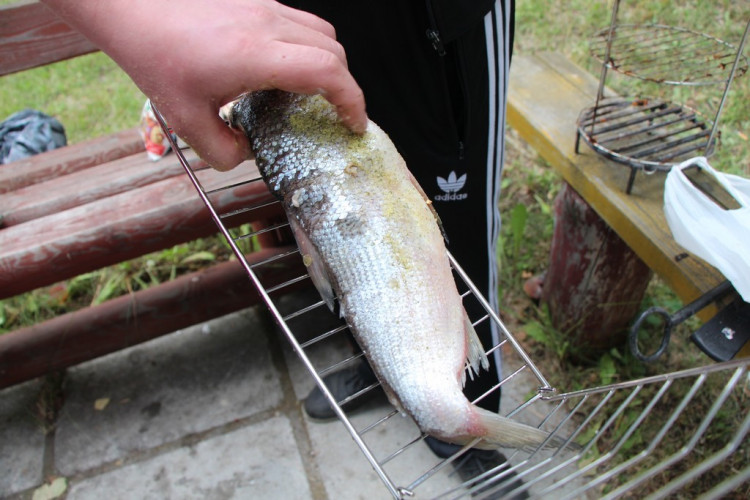 Решетка для рыбы в Казани