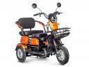 Электротрицикл Rutrike Gelbert Caf в Казани