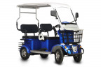 Пассажирский электротрицикл Rutrike Gelbert Hara в Казани