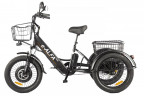 Электрофэтбайк Eltreco Green City e-ALFA Trike в Казани