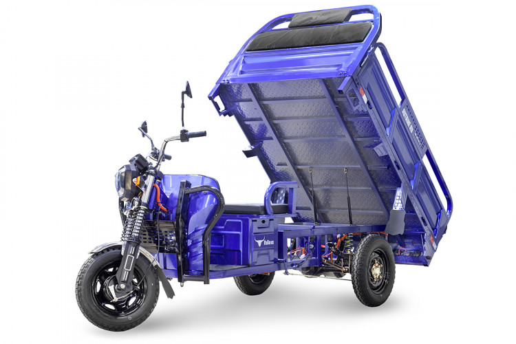 Грузовой электрический трицикл RuTrike D4 1800 60V1200W в Казани